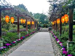 -天赐温泉