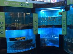 水产区-千岛湖小鱼儿·淳安匠心农家菜