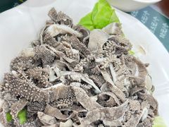 -护国寺小吃(左家庄店)