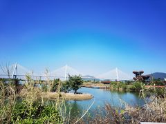 -芒洲湿地公园