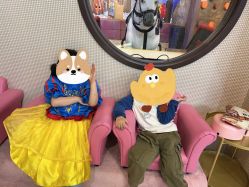 -卡通尼·Safari非洲探索乐园·生日会(金桥国际商业广场店)