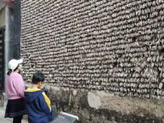 -小洲村