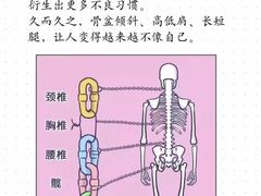 -体博士·疼痛调理·体态矫正·运动康复中心(大望路华贸店)