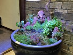 -鸢飞潍坊菜馆(鸢飞大酒店)