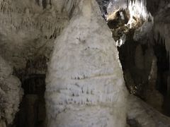 -怀托摩萤火虫洞