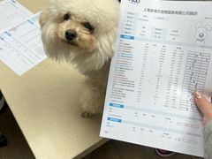-爱侣·安琦尔宠物医院·中兽医针灸·心内科·狂犬免疫点(宝山区院)