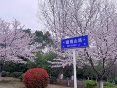 -江南大学(蠡湖校区)