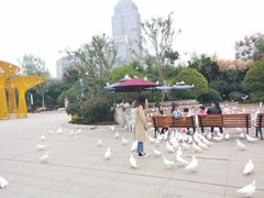 -南昌之星摩天轮