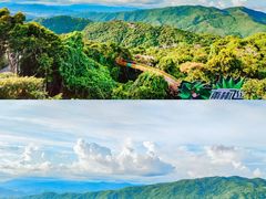 -亚龙湾热带天堂森林公园