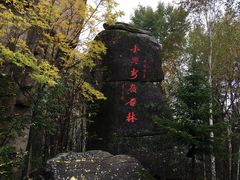 -汤旺河林海奇石景区