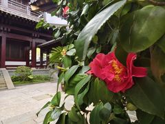 -香积寺