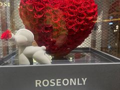 -ROSEONLY诺誓(磐基中心店)