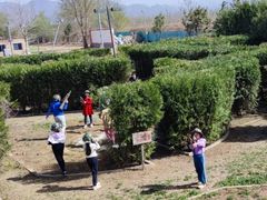 -亲兄弟真人CS团建拓展基地