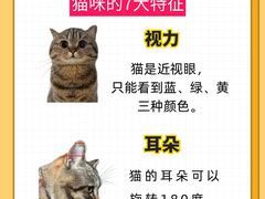 -佩兹宠物医院肿瘤专科·眼科·牙科(黄浦店)