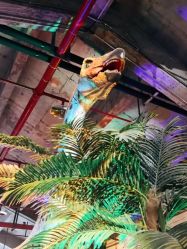 点击看大图 -恐龙探索乐园(磁器口店)