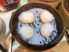 -添好运点心专门店(北角店)