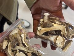 -蘑统田下·野生菌火锅