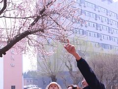 -吉林大学(南岭校区)