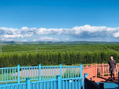 -塞罕坝国家级自然保护区