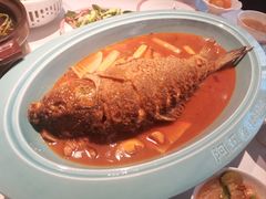 -阿五黄河大鲤鱼(英协路店)