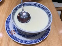 姜撞奶-赵记传承(中山石岐大信店)