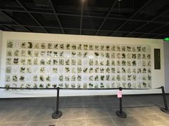 -广东中医药博物馆