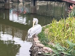 -无锡动物园·太湖欢乐园