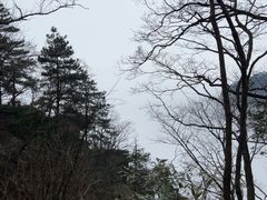 -庐山风景区花径公园