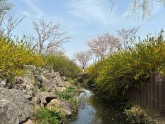 -羊山湖公园