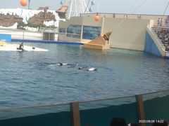 -秦皇岛乐岛海洋王国