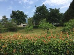 -秦始皇帝陵博物院-丽山园