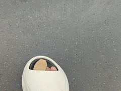 -世龙世家甲沟炎·灰指甲·嵌甲矫正·修脚(武侯区双楠店)