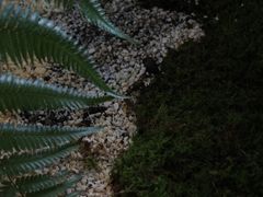 -见山茶事(丽水路店)