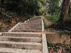 -青龙山国家森林公园
