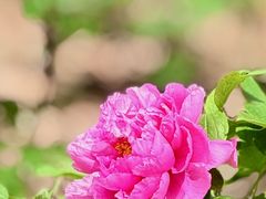 -江南大学(蠡湖校区)