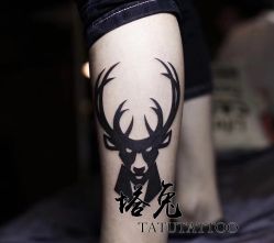 -天道tattoo纹身穿孔工作室