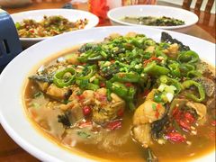 -全乐鱼馆·淳牌有机鱼直营店