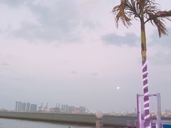 -望海观澜海景音乐餐吧(帆船基地店)