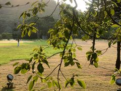 -福建鲤鱼洲酒店