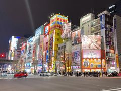 -Animate(秋叶原本馆)