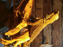 android_upload_pic-喵园·猫主题咖啡厅·撸猫·猫咖(国贸店)