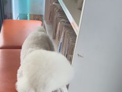 -爱侣宠医·鹦鹉专科·小型哺乳类·异宠专科(灵石路店)