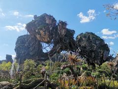 -奥兰多迪士尼动物王国乐园