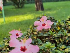 -荔湾区儿童公园