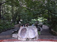 -成都市活水公园