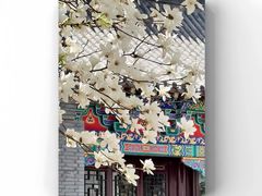 -护国法轮寺