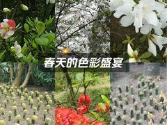 -南山植物园