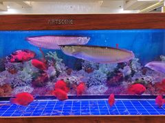 水产区-明香海鲜酒家(华强北店)