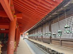 -奈良公园