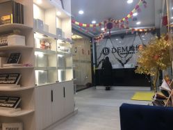 -DEM缔怡美科技美容